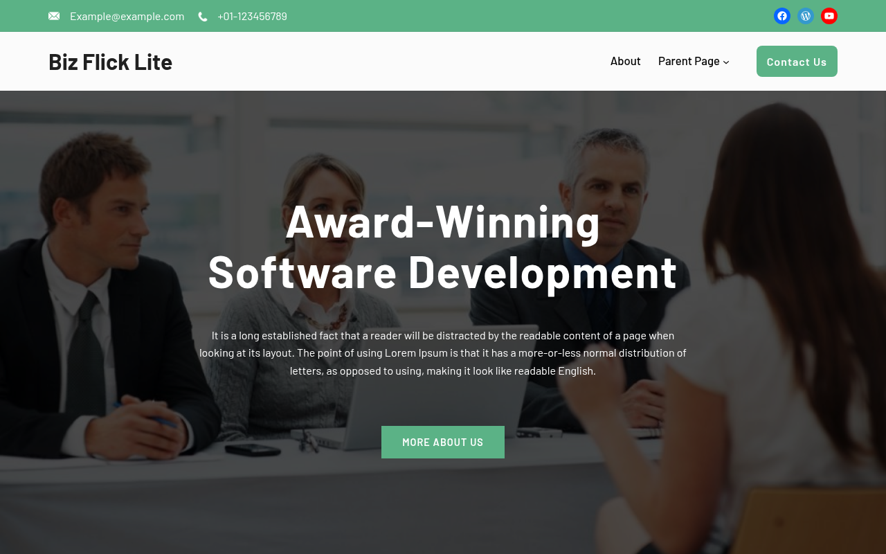 Десктоп — Biz Flick Lite
