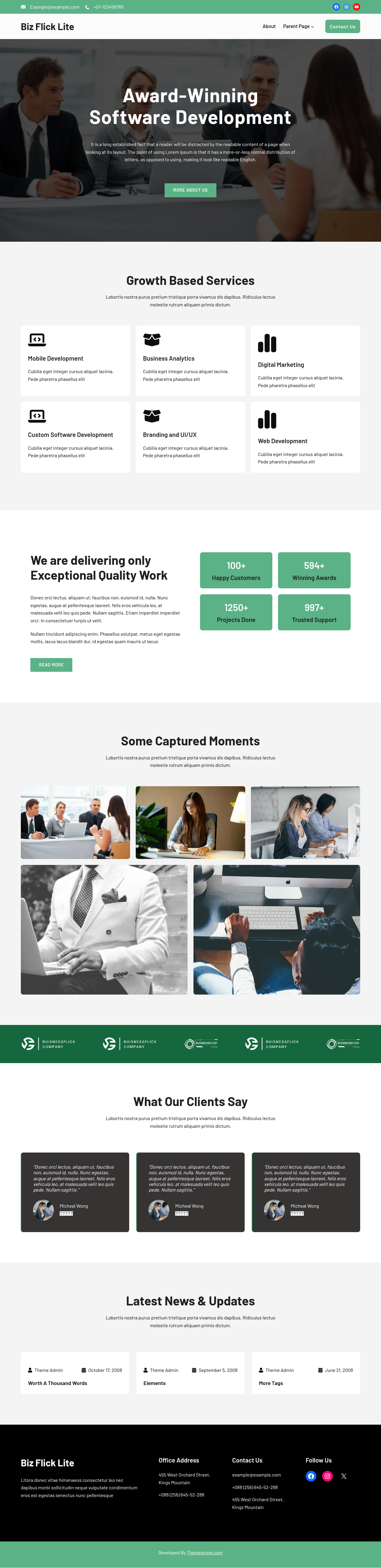 Десктоп (ниже) — Biz Flick Lite