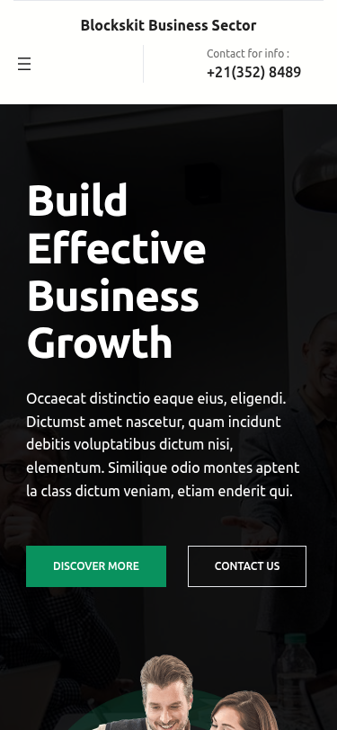 Мобильный вид — Blockskit Business Sector