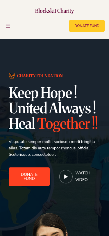 Мобильный вид — Blockskit Charity