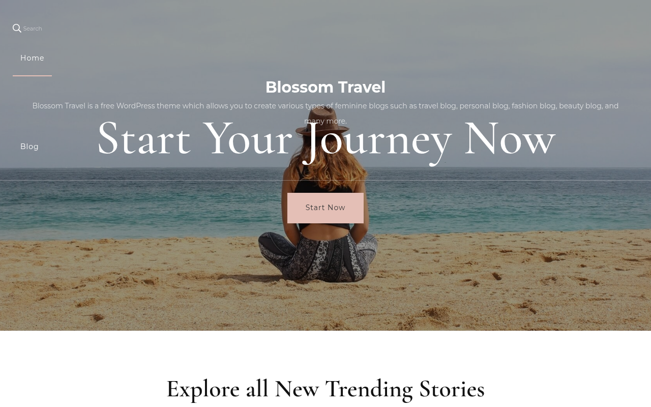 Десктоп — Blossom Travel