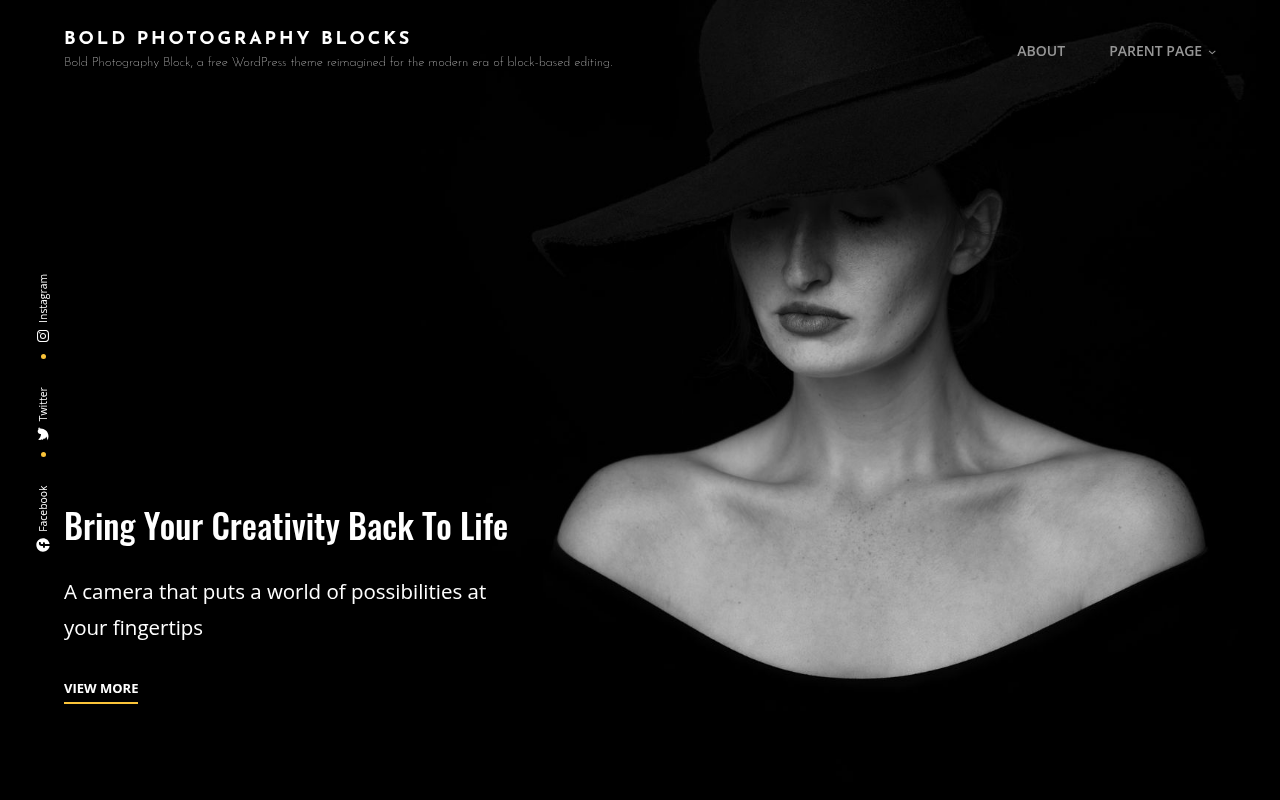 Десктоп — Bold Photography Blocks