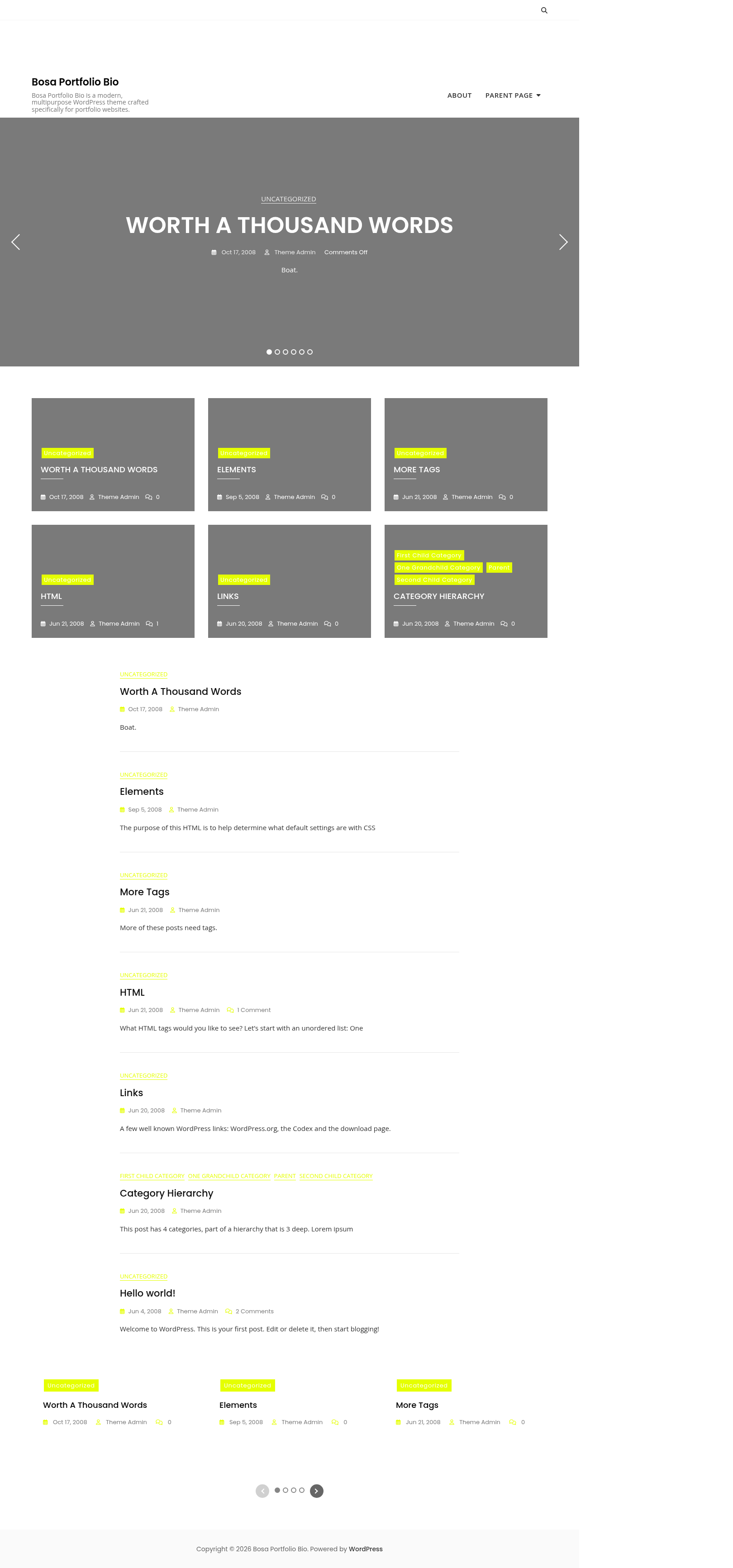 Десктоп (ниже) — Bosa Portfolio Bio