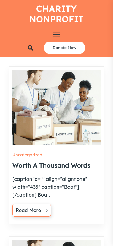Мобильный вид — Charity Nonprofit