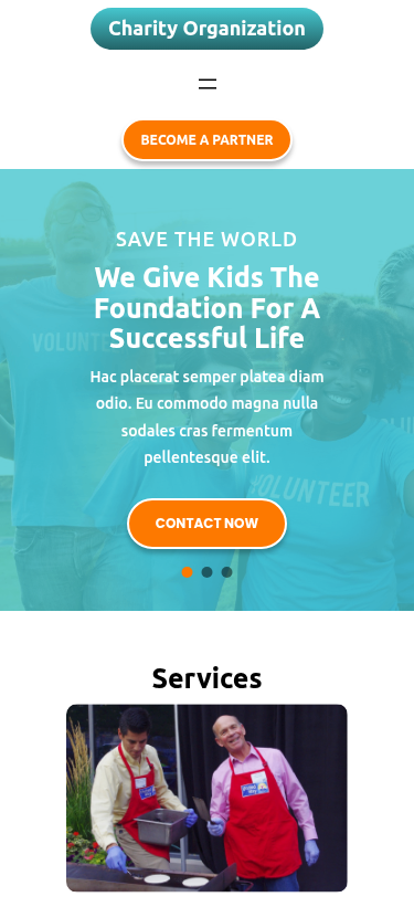 Мобильный вид — Charity Organization