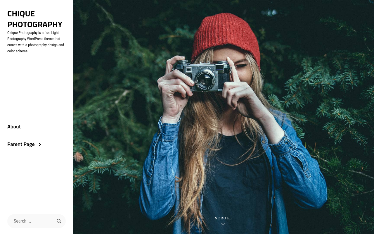 Десктоп — Chique Photography