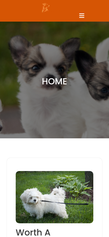 Мобильный вид — Classic Dog Breeder