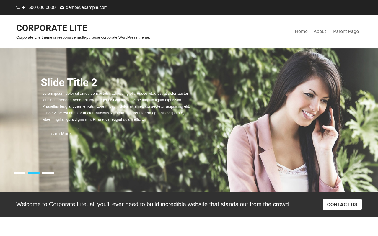 Десктоп — Corporate Lite