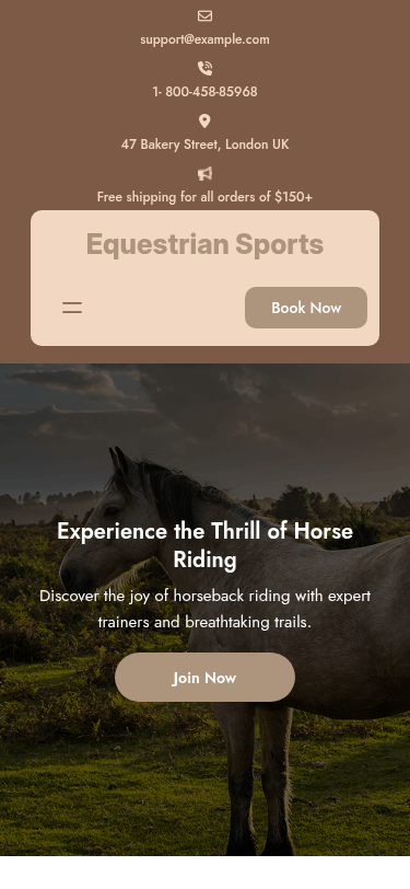 Мобильный вид — Equestrian Sports