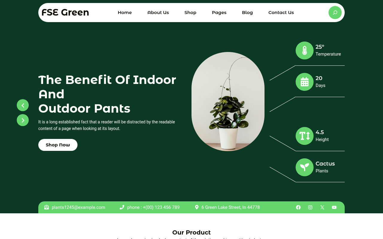 Десктоп — FSE Green