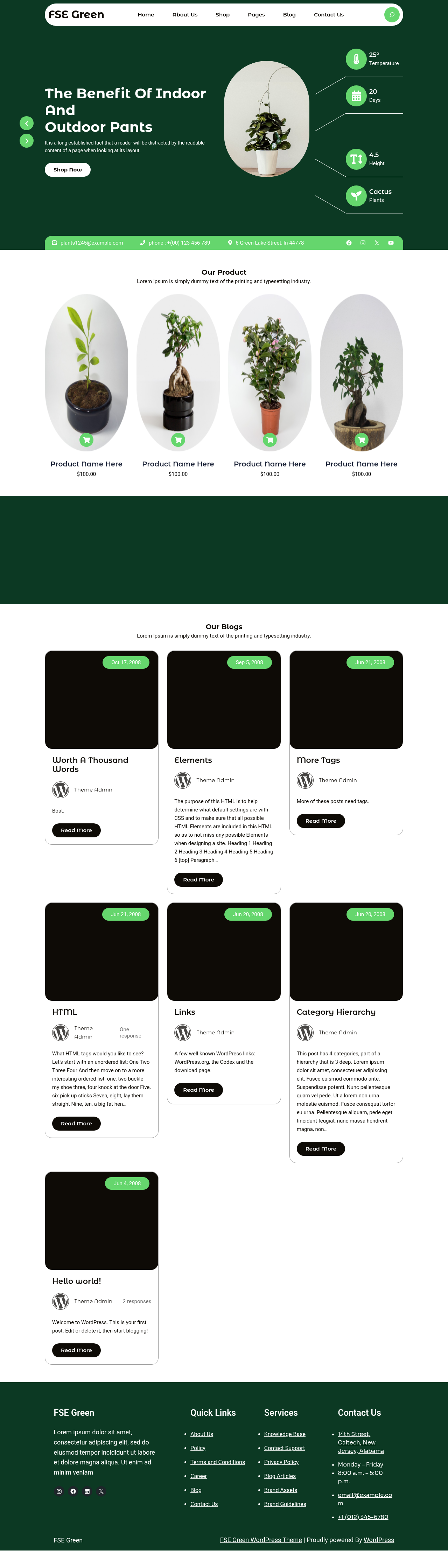 Десктоп (ниже) — FSE Green