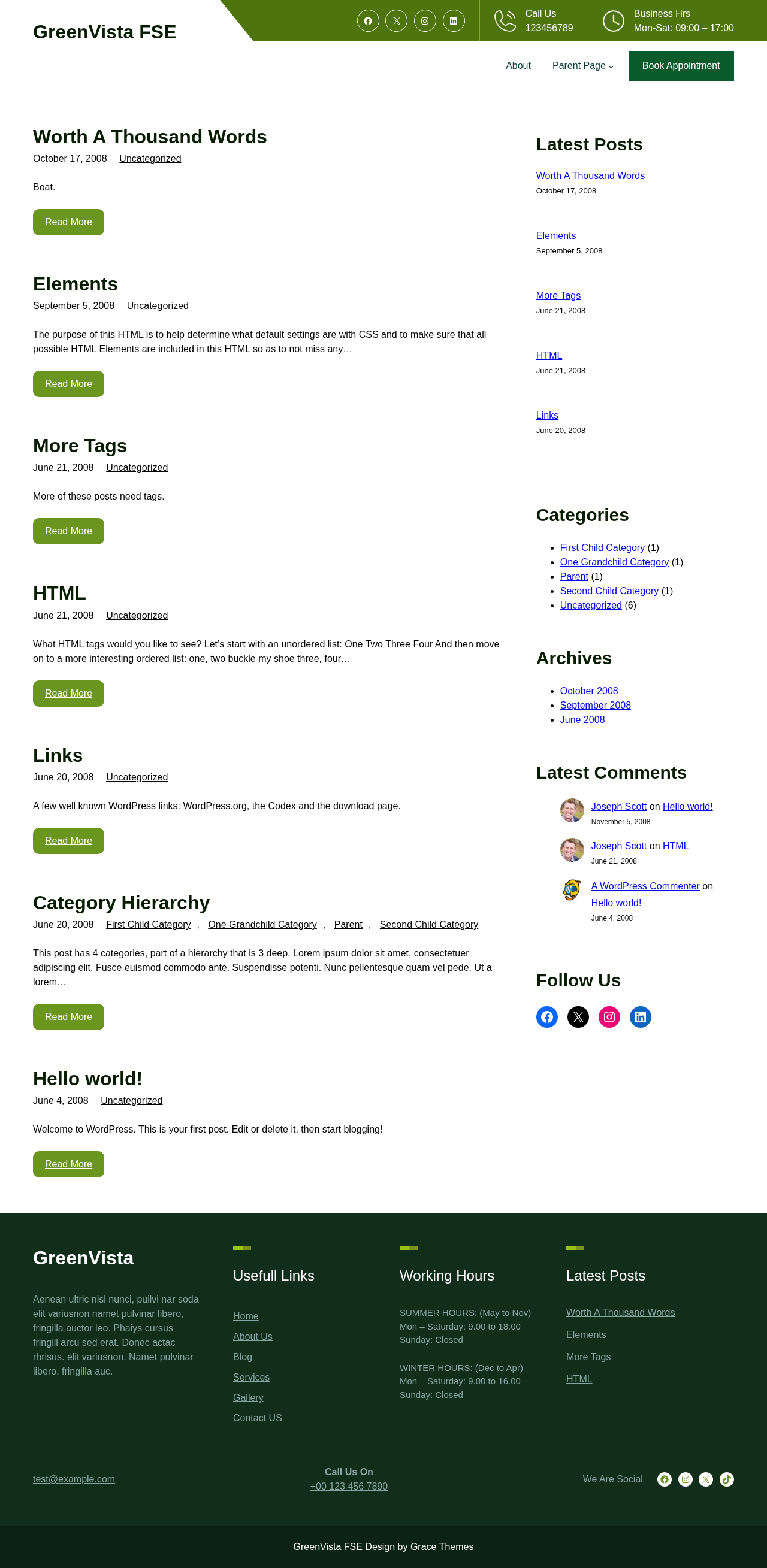 Десктоп (ниже) — GreenVista FSE