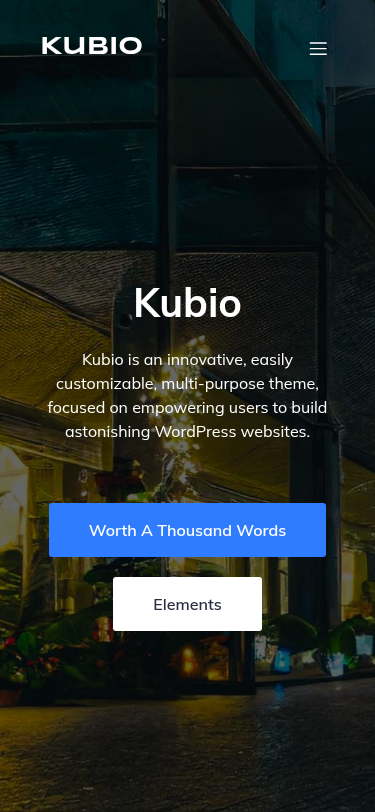 Мобильный вид — Kubio