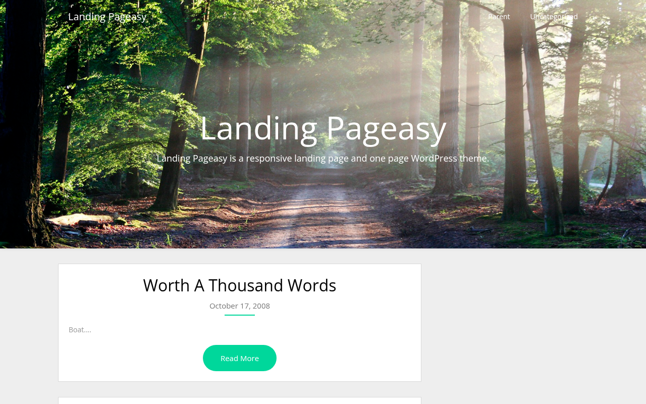 Десктоп — Landing Pageasy