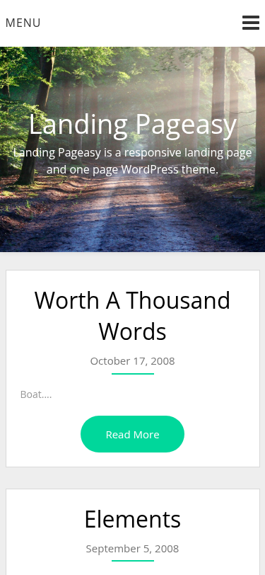 Мобильный вид — Landing Pageasy