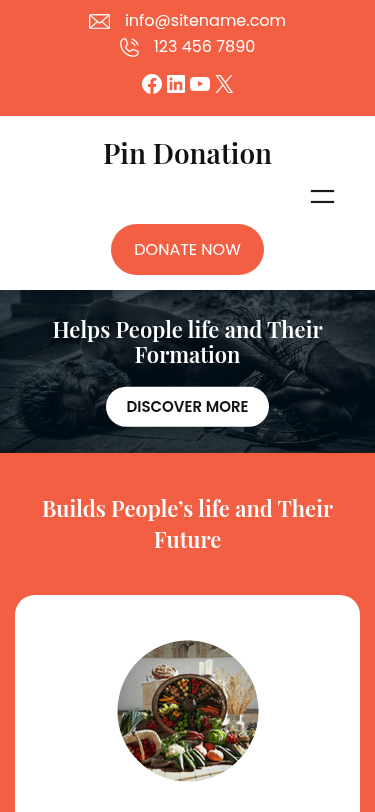 Мобильный вид — Pin Donation