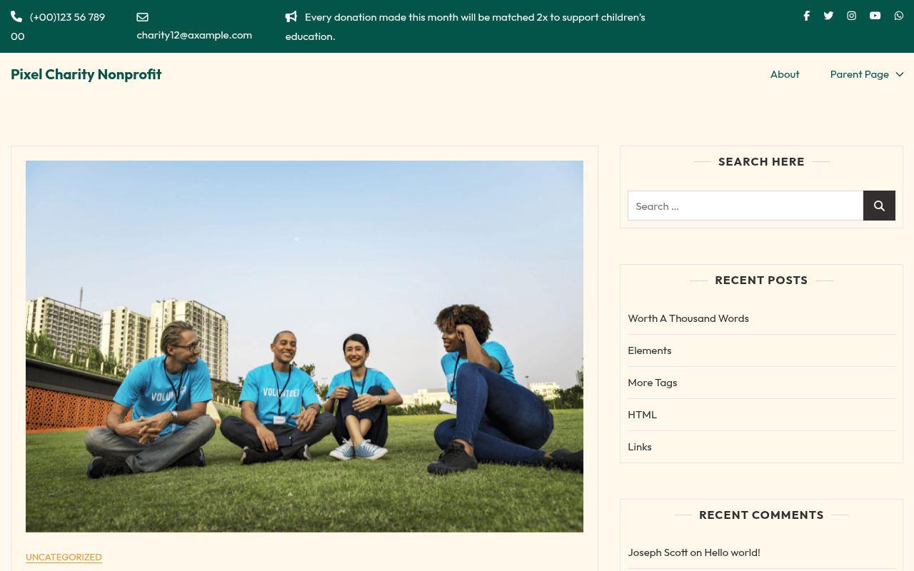 Десктоп — Pixel Charity Nonprofit