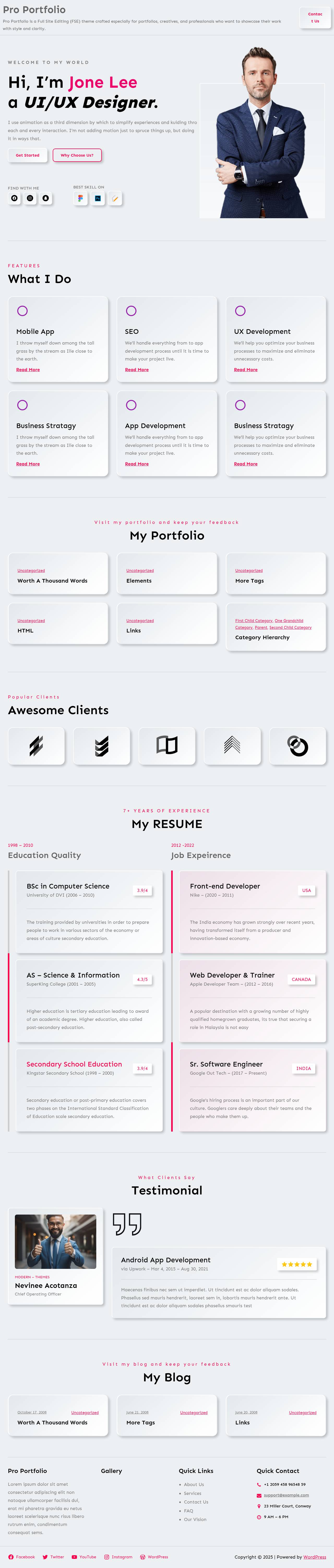 Десктоп (ниже) — Pro Portfolio