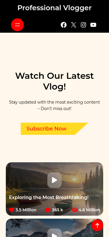 Мобильный вид — Professional Vlogger