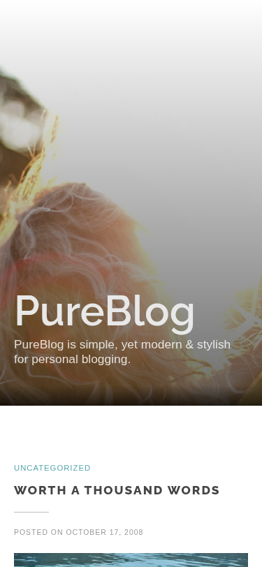 Мобильный вид — PureBlog