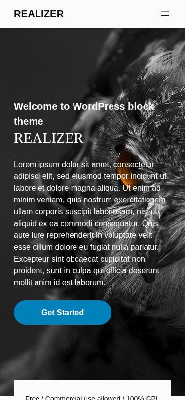 Мобильный вид — REALIZER