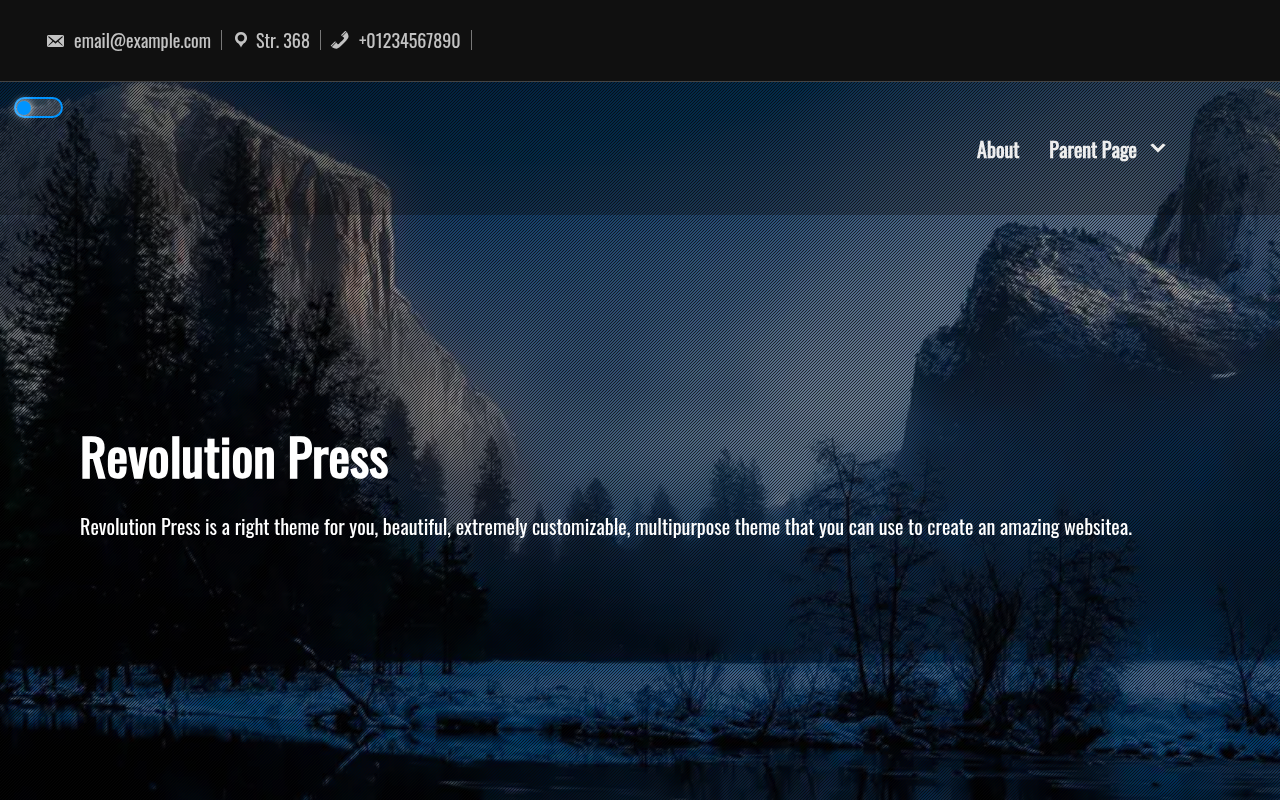 Десктоп — Revolution Press
