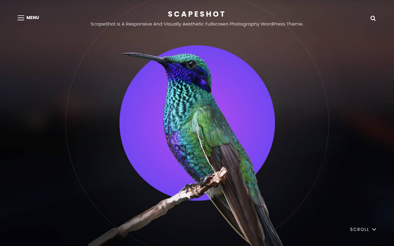 Десктоп — ScapeShot