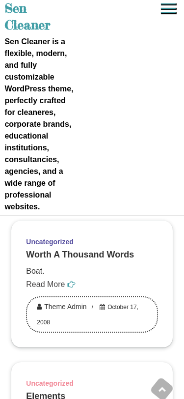 Мобильный вид — Sen Cleaner