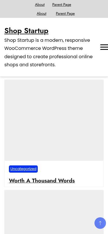Мобильный вид — Shop Startup