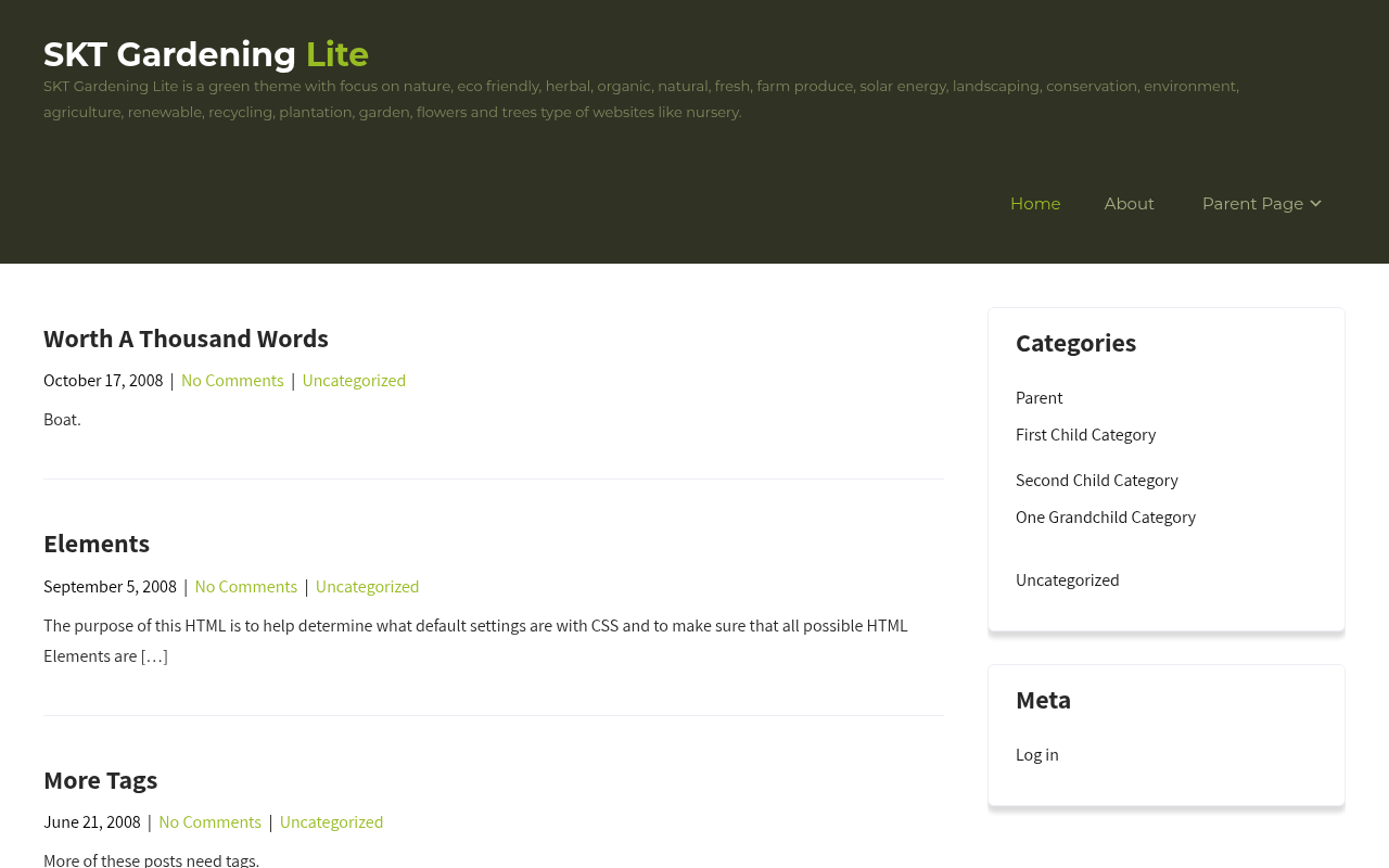 Десктоп — SKT Gardening Lite
