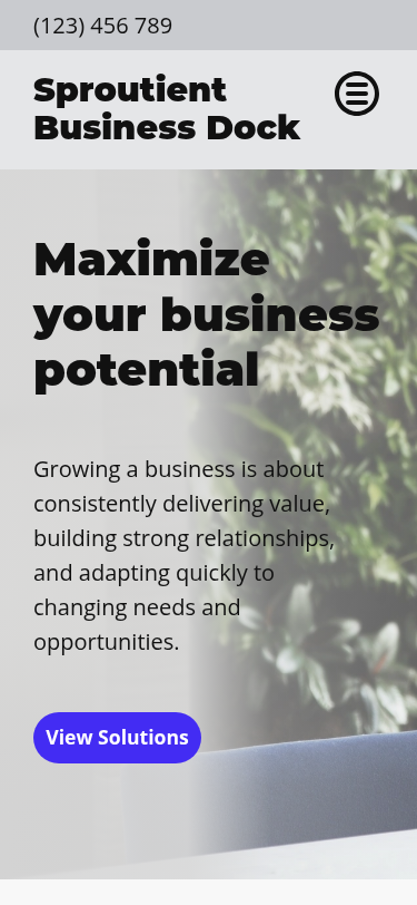 Мобильный вид — Sproutient Business Dock