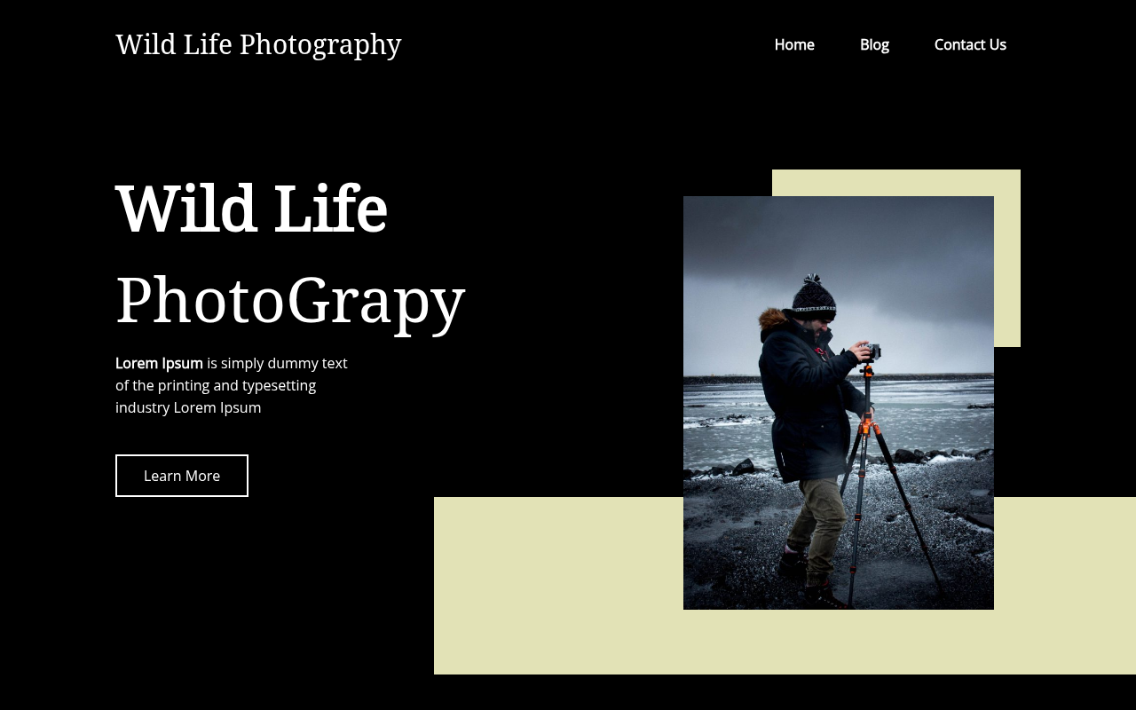 Десктоп — Templazee Wild Life Photography