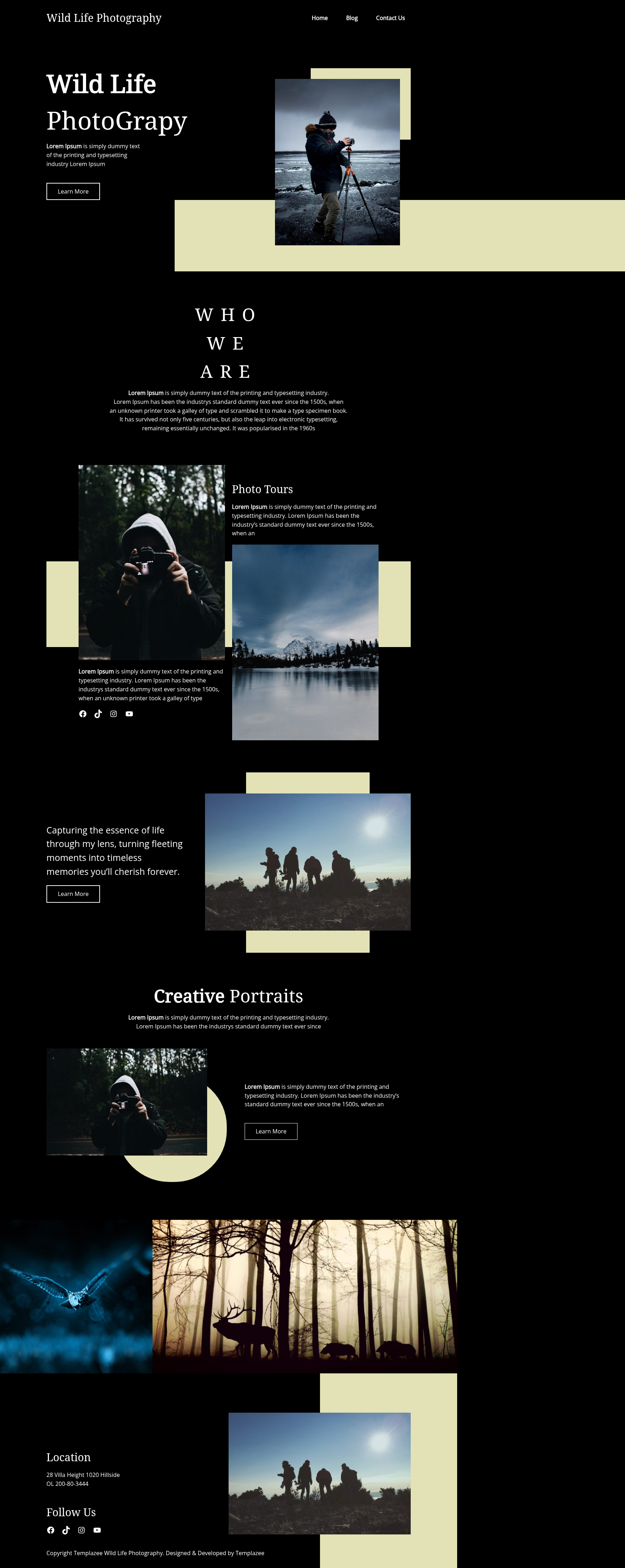 Десктоп (ниже) — Templazee Wild Life Photography