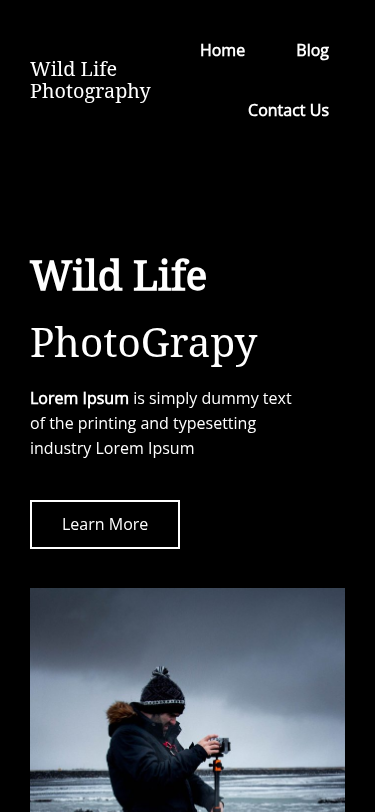 Мобильный вид — Templazee Wild Life Photography