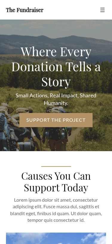 Мобильный вид — The Fundraiser