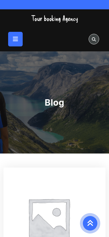 Мобильный вид — Tour booking Agency