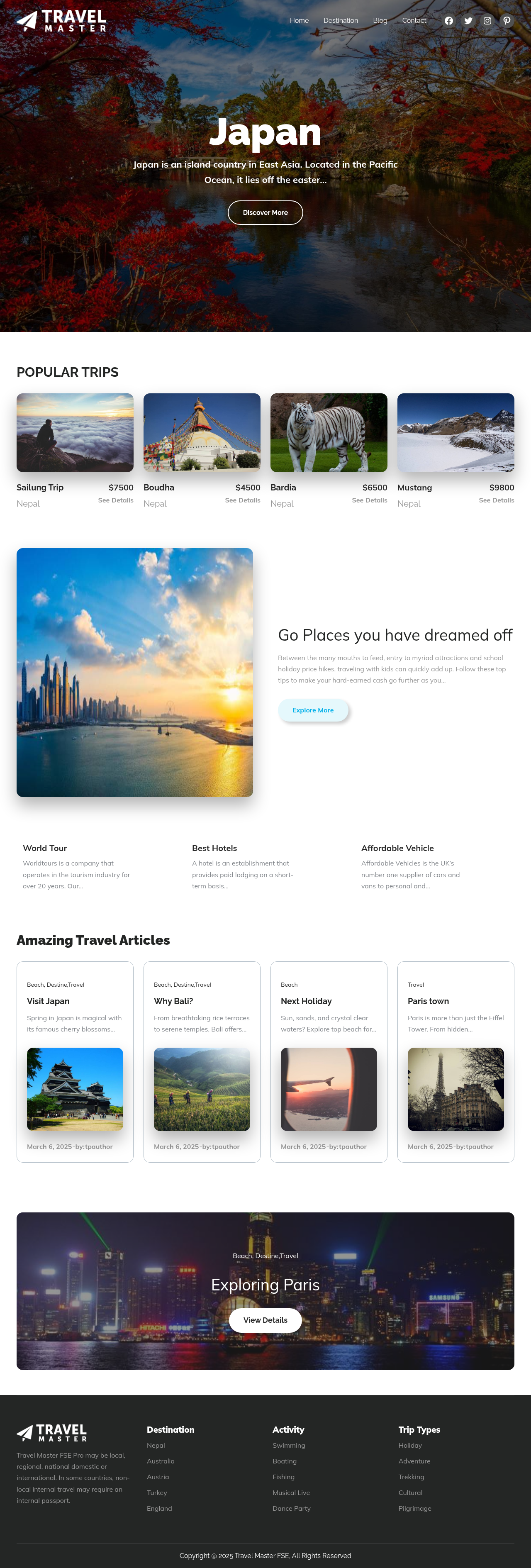 Десктоп (ниже) — Travel Master FSE