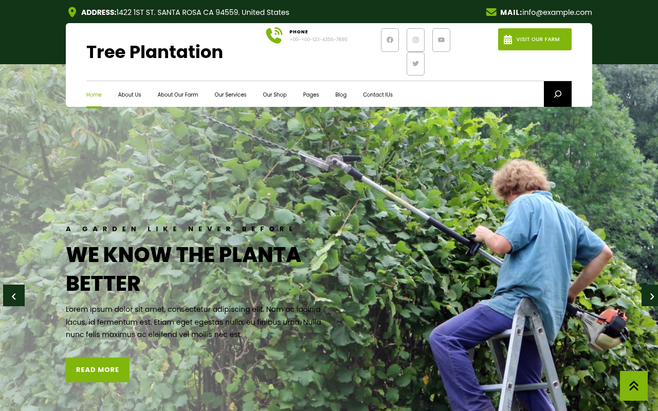 Десктоп — Tree Plantation