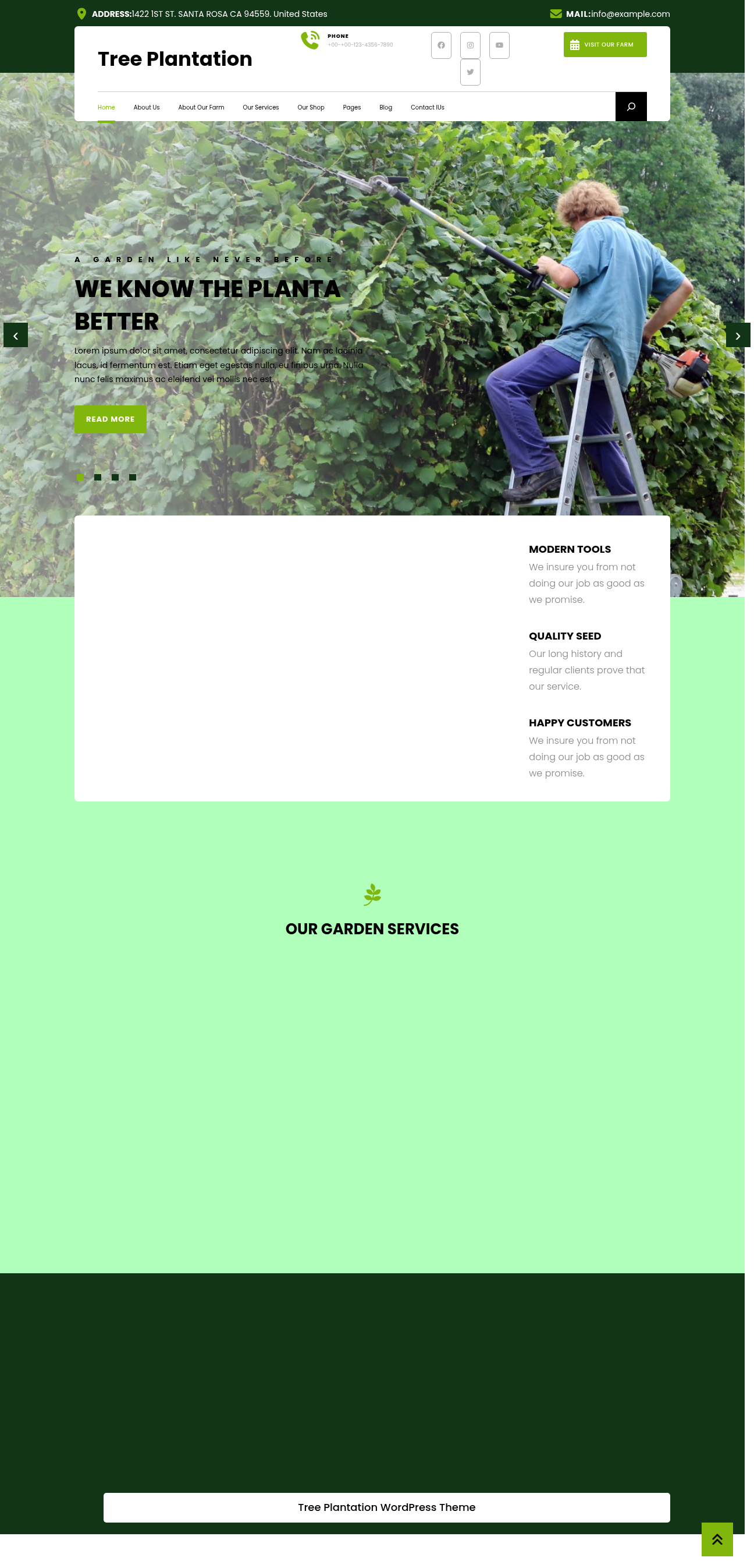 Десктоп (ниже) — Tree Plantation