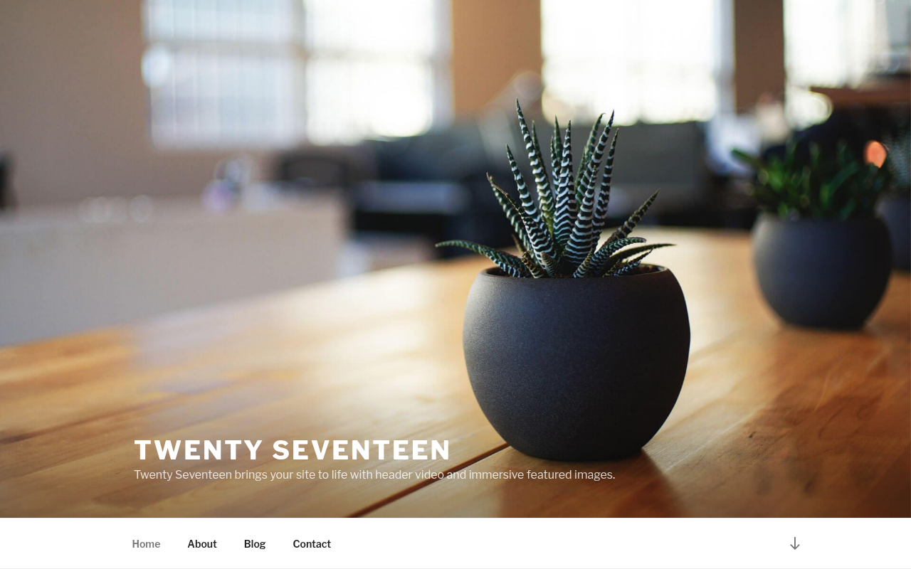 Десктоп — Twenty Seventeen