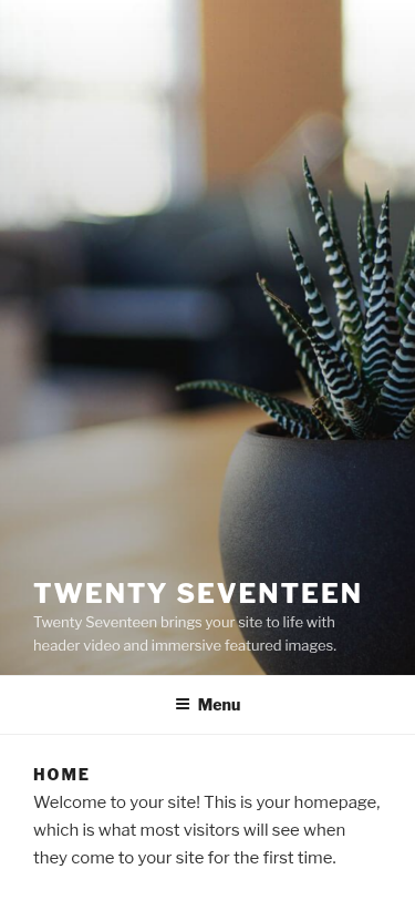 Мобильный вид — Twenty Seventeen