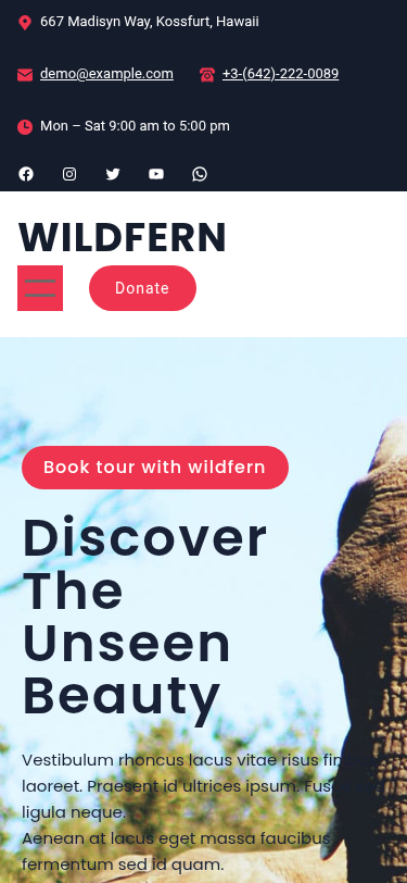 Мобильный вид — Wildfern
