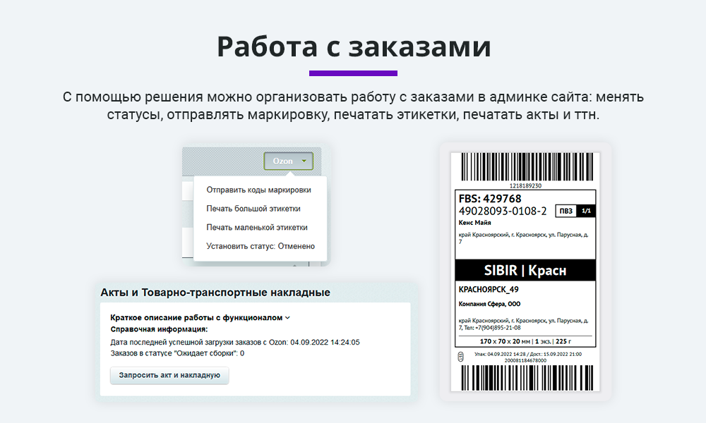 Интеграция с Ozon (Озон) по API. Цены, остатки, заказы, статусы, акты — скриншот 5