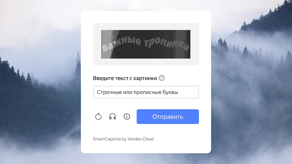 TANAiS.WEB: Yandex SmartCaptcha — замена стандартной капчи (captcha, яндекс капча) — скриншот 3
