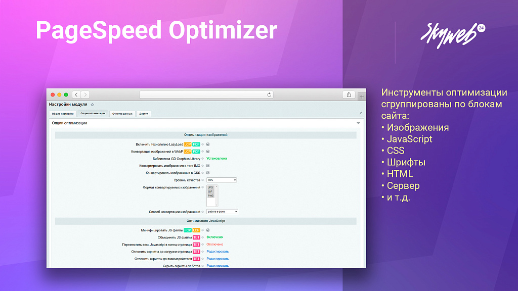 Google PageSpeed Optimizer: Ускорение и оптимизация загрузки сайта (HTML, CSS, JS, WebP, LazyLoad) — скриншот 4