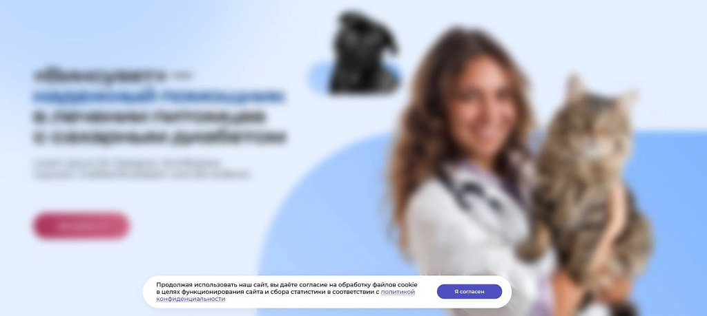STARt: Уведомление об обработке файлов cookie — скриншот 2