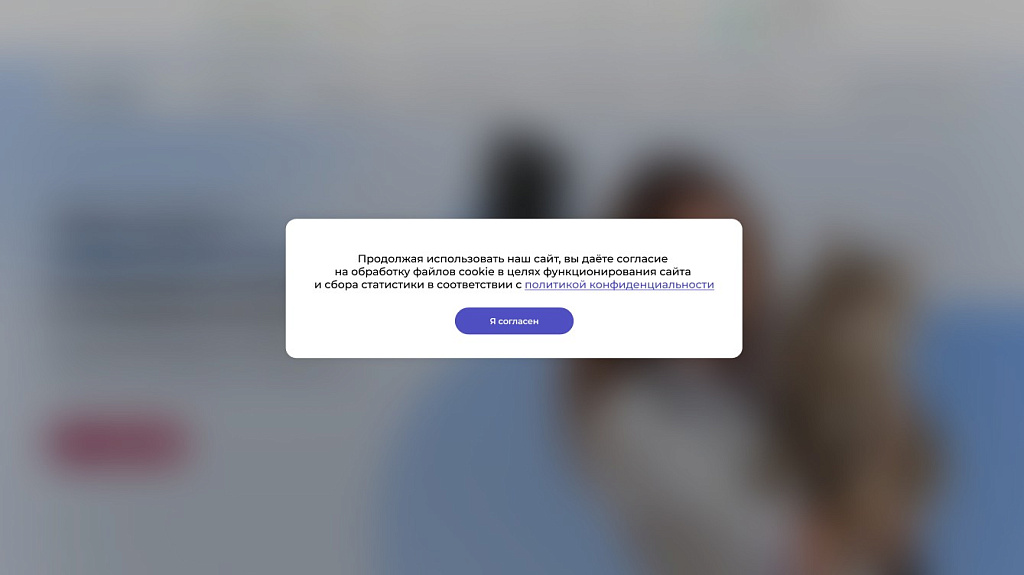 STARt: Уведомление об обработке файлов cookie — скриншот 4