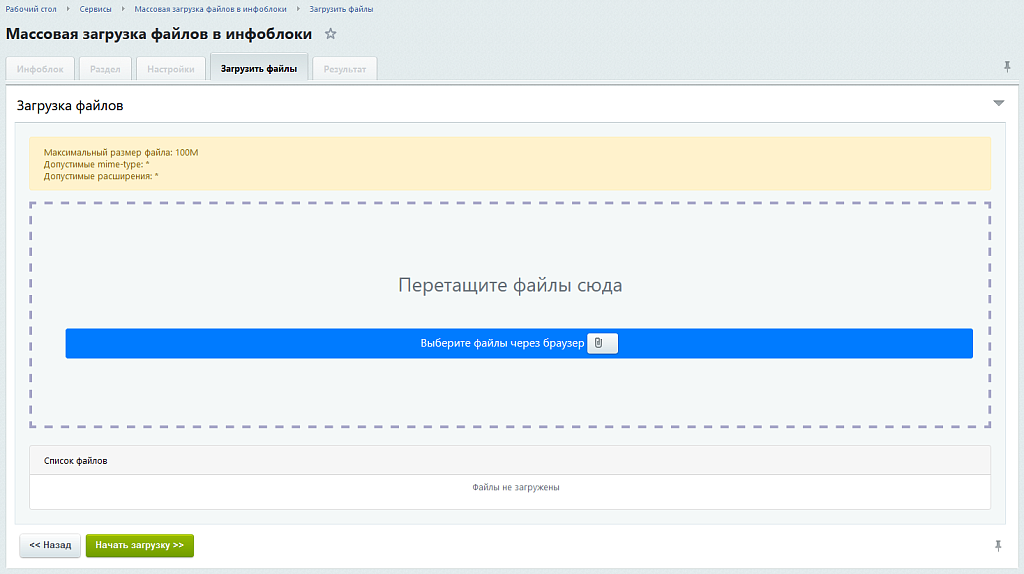 Массовая, множественная загрузка файлов, изображений и документов в инфоблоки с созданием элементов — скриншот 4