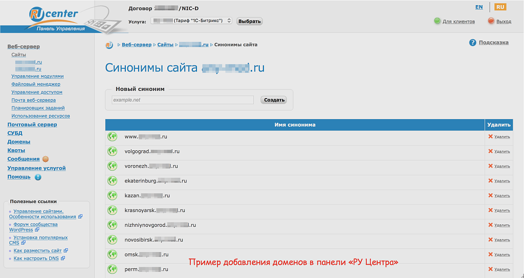 SEO: поддомены + управление метатегами и текстами — скриншот 6