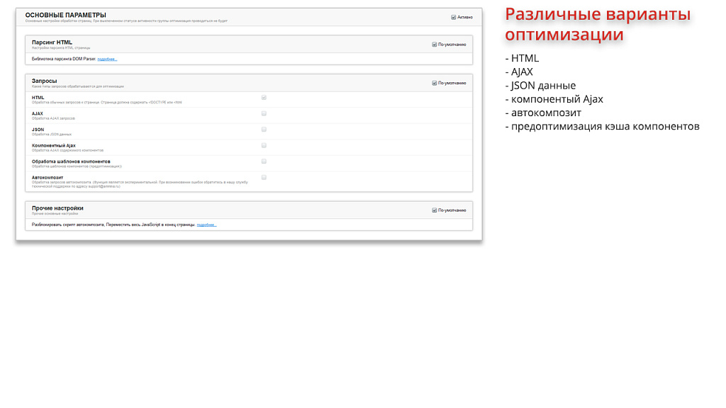Ammina Optimizer: Оптимизация и ускорение загрузки сайта (CSS, JS, HTML, изображения, WebP, Lazy) — скриншот 6